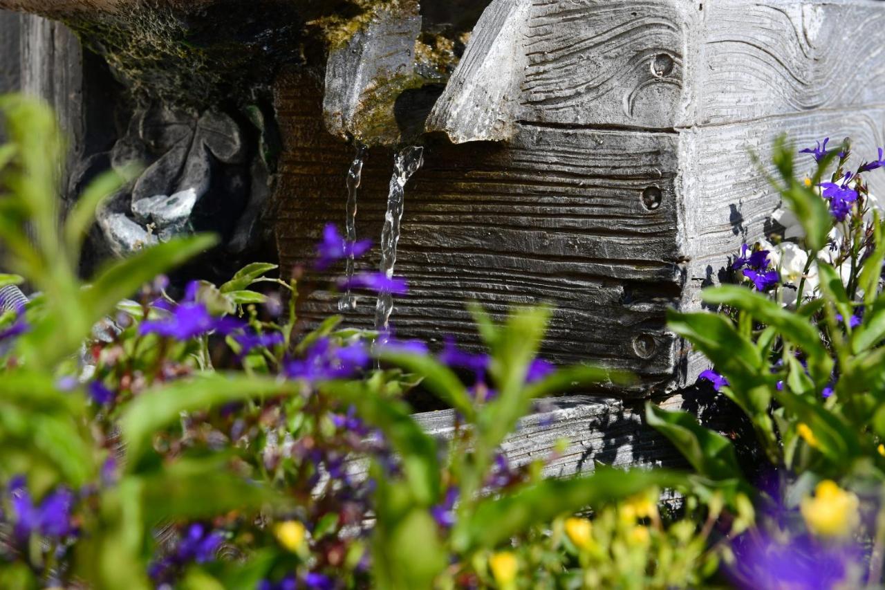 Landhotel Jungbrunnen Bad Brambach Exterior photo