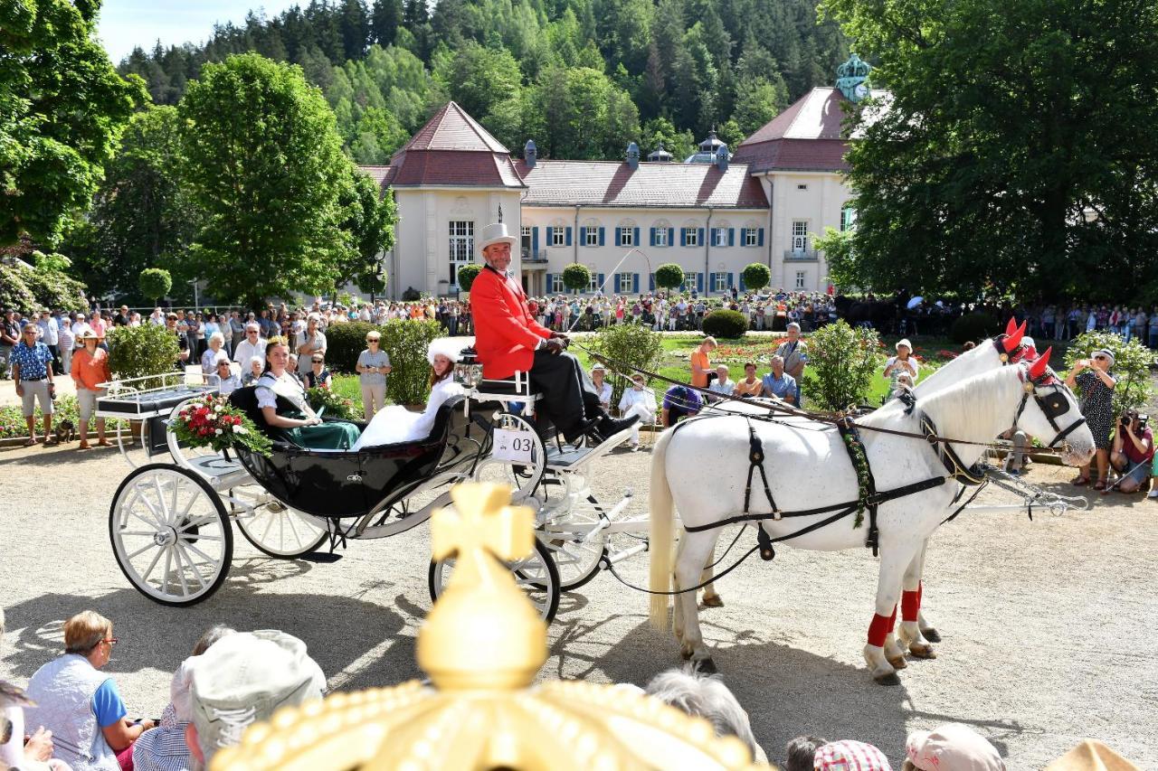 Landhotel Jungbrunnen Bad Brambach Exterior photo